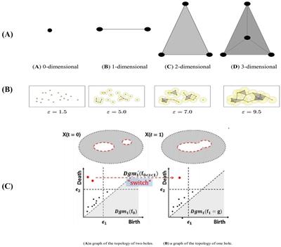 High-order brain network feature extraction and classification method of first-episode schizophrenia: an EEG study